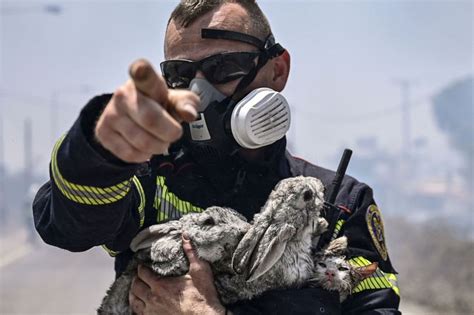New evacuations in Greece as winds, heat fuel blazes
